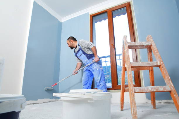 Best Crawl Space Mold Remediation  in Chebanse, IL