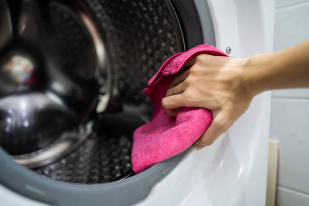  Chebanse, IL Mold Removal Pros