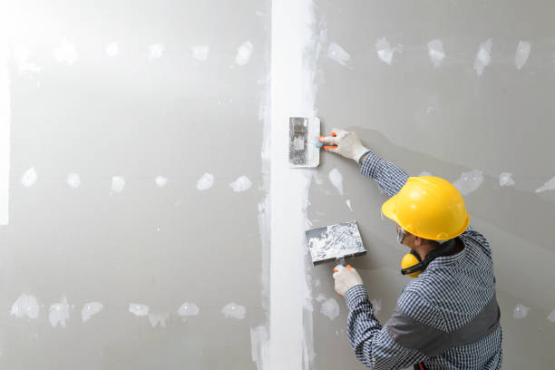 Best Black Mold Removal  in Chebanse, IL
