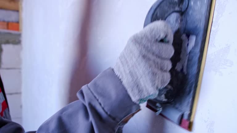 Best Industrial Mold Remediation  in Chebanse, IL