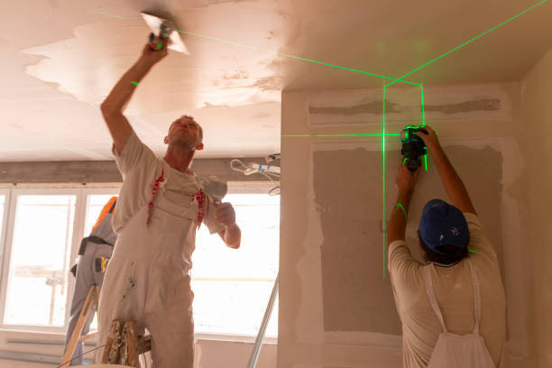 Best Dehumidification Services  in Chebanse, IL