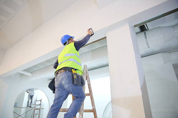 Best Post-Remediation Verification Testing  in Chebanse, IL