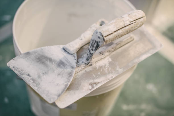 Best Emergency Mold Remediation  in Chebanse, IL